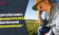 Çiftçi İsyanda: Bu Maliyetler İle Üretim Nasıl Devam Edecek?