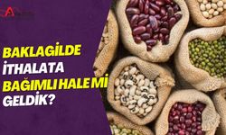 Baklagilde İthalata Bağımlı Hale mi Geldik?