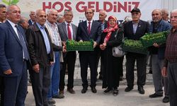 Zirai Don Mağduru Çiftçilere 250 Bin Sebze Fidesi Desteği