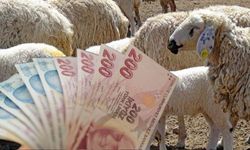 3 Milyar TL’lik Destekleme Ödemeleri Hesaplara Aktarılıyor!