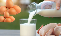 Et ve Süt Üretimi Yükseldi, Yumurta Geriledi!