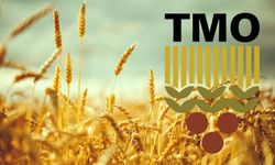 TMO’da Sessizlik, Tarlada Belirsizlik Devam Ediyor!