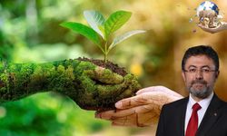 Yumaklı’dan Biyolojik Çeşitlilik Uyarısı!