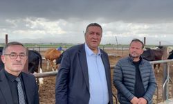Sütte Kazanan Yok: Üretici Bitme Noktasında!