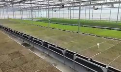 Zonguldak’ta Tarımsal Üretimde Yeni Dönem!