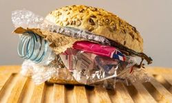 Yediğimiz Yemekte Plastik Olabilir mi?