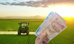 Kırsala Büyük Destek: 10,2 Milyar TL Hibe, 18 Bin Kişiye İstihdam!