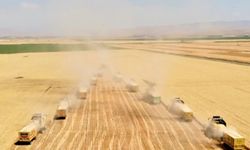 Bu Sayılar Gerçek mi? 2 Milyon Dekar ve Sonrası…