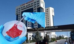 Yapay Et Komplosu mu? Bakanlıktan İddialara Yanıt!