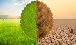 İklim Değişikliği ve Tarım: Üretim Kalıpları Nasıl Değişiyor?