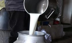 Çiğ Süt Fiyatına Tepki: “Üreticiye Artık Üretme Diyorsunuz”