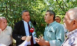 Zirai Donun Yarattığı Felaketin Ortasında: “Ürün Yok, Para Yok, Destek Yok”