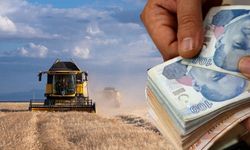 116 Milyon TL'lik Tarımsal Destekleme Ödemeleri Hesaplara Aktarılıyor!