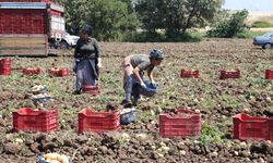 Edirne Milletvekili Ün: “Çiftçi Dayanacak Güçte Değil”