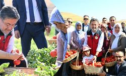 Tarımda Pestisit Kullanımını Azaltacak Proje: EKÜY