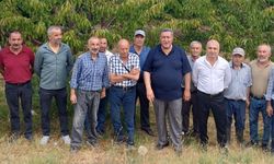 Kiraz Yok, Umut Yok: Çiftçi Yalnız!
