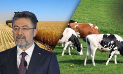 Yumaklı’dan  Üretim Planlamasına Dair önemli  Açıklama!