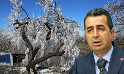 CHP’li Erhan Adem'den Tarımda Yapısal Çözüm Çağrısı!