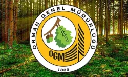 OGM’den Büyük İş Fırsatı: Kadrolu 262 İşçi Alınacak!