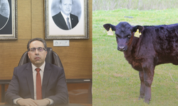 Güçlü Besi Projesi Çıkar Çatışması İddialarını Gündeme Taşıdı!