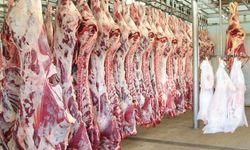UKON, Dana ve Kuzu  Et Fiyatlarını Bölgelere Göre Açıkladı!