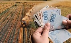 349 Milyon TL'lik Tarımsal Destekleme Ödemeleri Hesaplara Aktarılıyor!