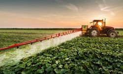 Hazine Destekli Tarım Kredilerinde Kritik Karar!