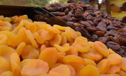 Kuru Kayısı İhracatında Rekor Seviyeye Ulaşıldı!