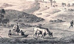 Osmanlı’da Hayvancılık Ekonomisi: Arpalık, Mer’a, Vakıf Sistemi!