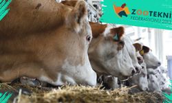 Hayvansal Üretimin Paydaşı Zootekni Federasyonu 12 Yaşında
