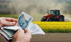471 Milyon TL’lik Tarımsal Destekleme Ödemeleri Hesaplara Aktarılıyor!