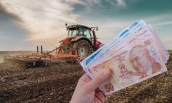 711 Milyon TL’lik Tarımsal Destekleme Ödemleri Hesaplara Aktarılıyor!