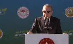Cumhurbaşkanı Erdoğan'dan 600 Milyon Fidan Hedefi!