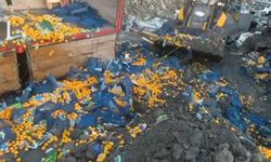 İhraç Mandalinasında Zirai İlaç Alarmı!