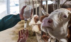 Prof. Dr. Yarsan Uyarıyor: Antimikrobiyal Direnci Görmezden Gelmeyin