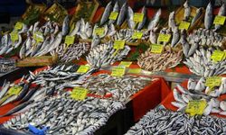 Bakanlıktan 7 Balık Türüne Tescil Kararı!