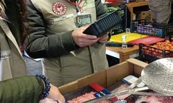 Taklit ve Tağşişli Ürün Listesi Güncellendi!