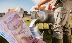 Çiftçilere 1,5 Milyar Liralık Destek: Çiğ Süt Desteği Bugün Hesaplarda!