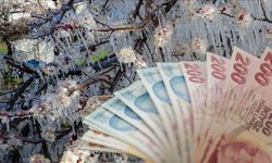 Çiftçilere 798 Milyon TL Destek Ödemesi!