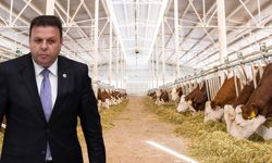 Süt Sektöründe Kış Öncesi Tehlike Çanı Mı Çalıyor?