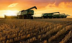 Tarımsal Girdi Fiyatları Üretimi Nasıl Şekillendiriyor?