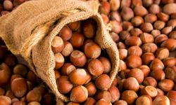 Fındık Krizinde Flaş Gelişme!