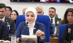 Aile ve Sosyal Hizmetler Bakanlığı’nın 2026 Bütçesi Görüşüldü