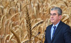 Tahıl Ambarlığından İthalatçı Ülkeye! CHP’li Günaydın’dan Çarpıcı Rakamlar
