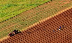 Tarımda Üretici Fiyatları Ekimde de Yükselişini Sürdürdü!