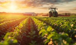 TÜİK Açıkladı: Tarımsal Girdi Fiyatları Tırmanıyor!