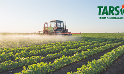 Üreticiye 11,6 milyar TL’lik Tarım Sigortası Desteği!