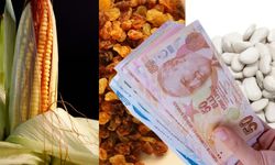 TMO’dan Üreticiye 310 Milyon TL Ödeme!