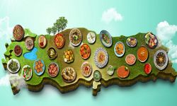 AB Tescili Alan 43. Türk Ürünü Ne Oldu?