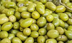 Yeni Dönem Zeytin Alım Fiyatlarını Açıkladı!